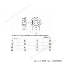 太阳能光伏安装配件法兰螺母M8-F-N208-5