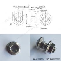 太阳能光伏安装配件法兰螺母M10-F-N210-6
