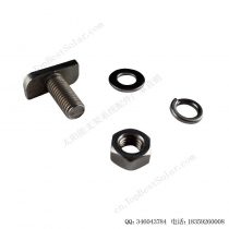 太阳能不锈钢T型螺栓